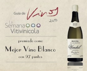 VINDEL PREMIO GUÍA VINOS miniatura web