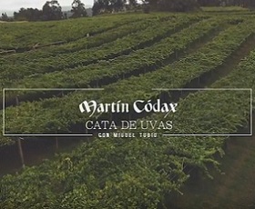 cata-uvas-martincodax2