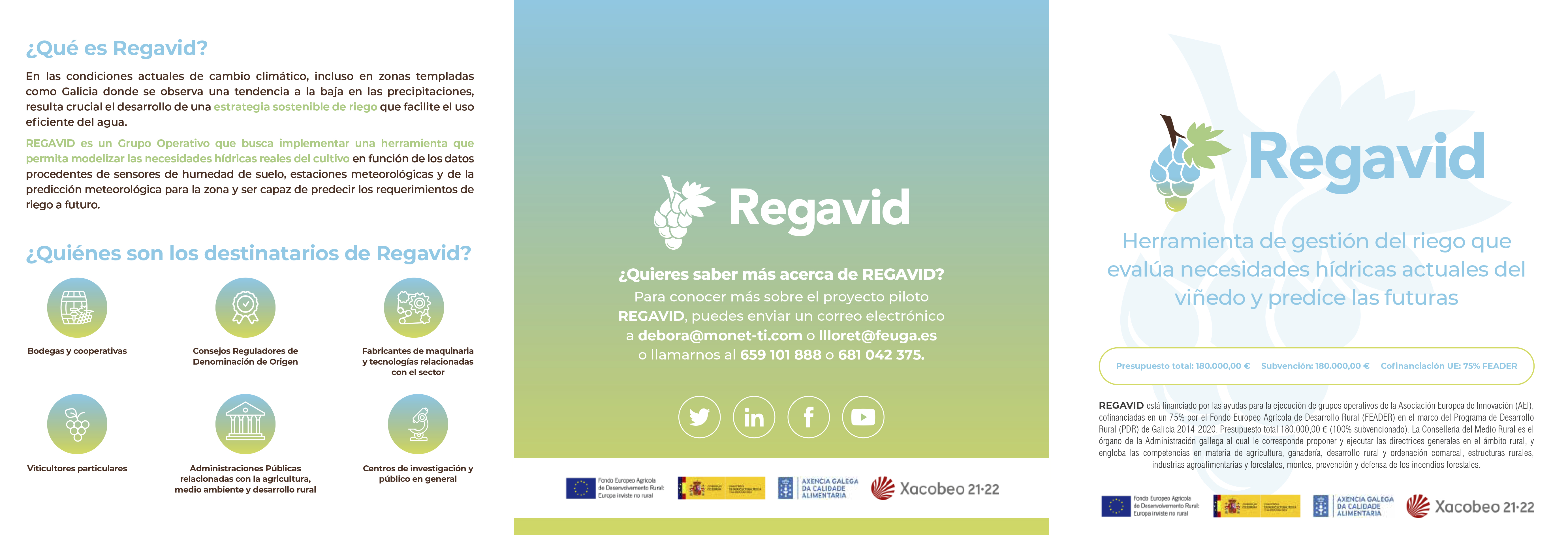 REGAVID ES pantalla