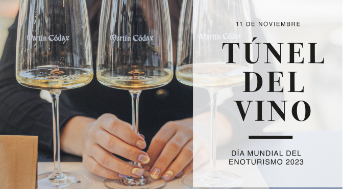 Tunel_vino_DMEnoturismo_2023