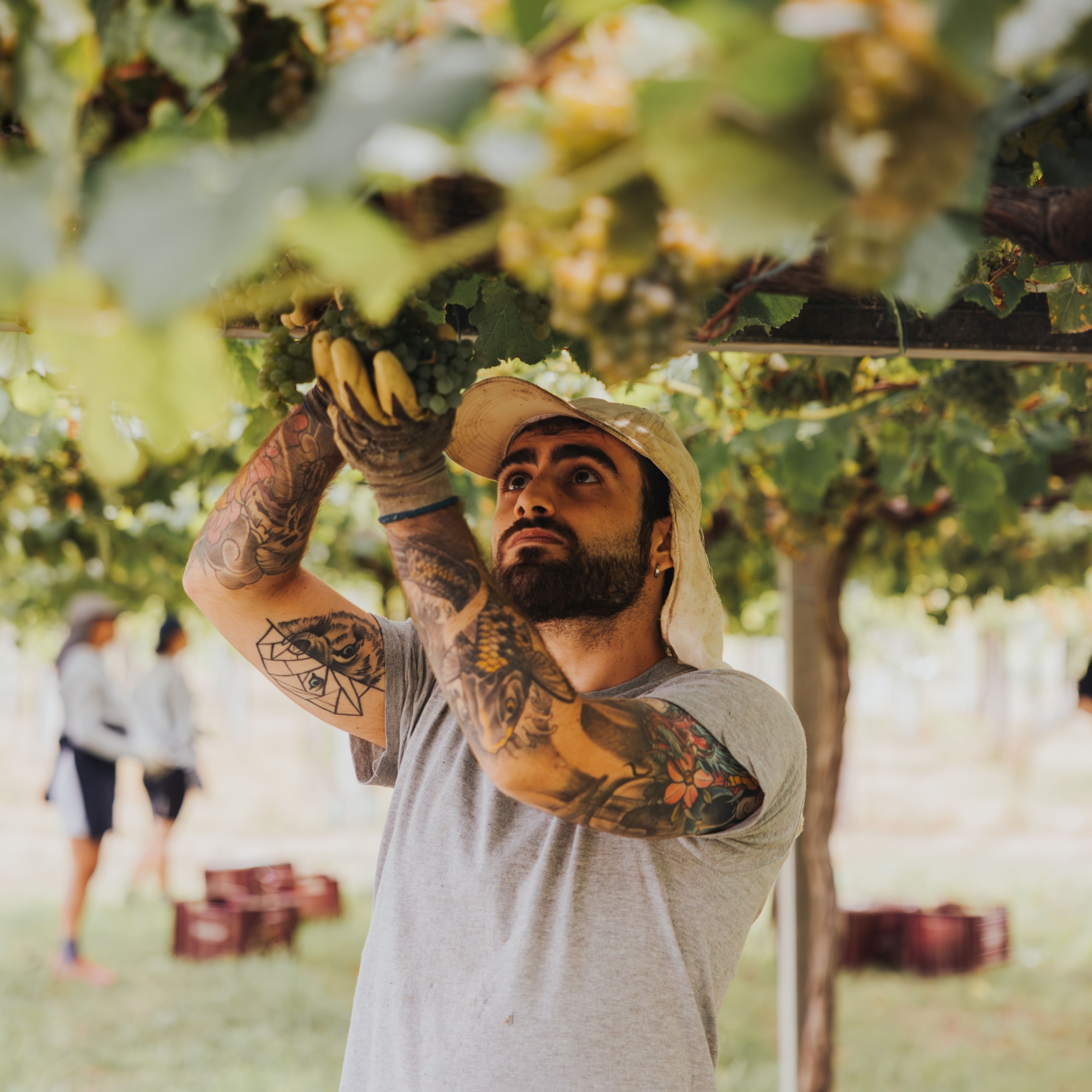 _RF01271-Mejorado-NR