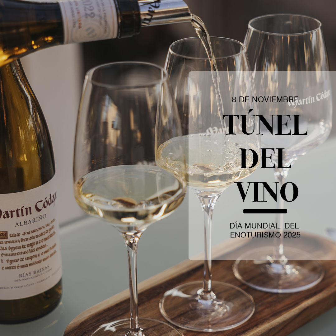 Celebramos el Día Mundial del Enoturismo con un exclusivo Túnel del Vino