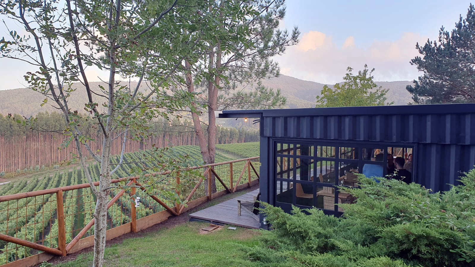 Vuelven las visitas a nuestro viñedo de investigación Pé Redondo