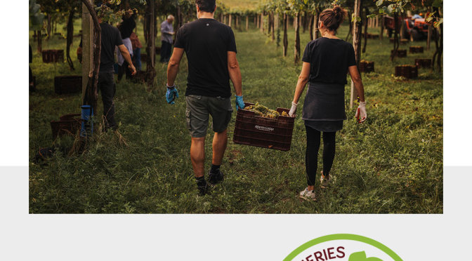Wineries-3