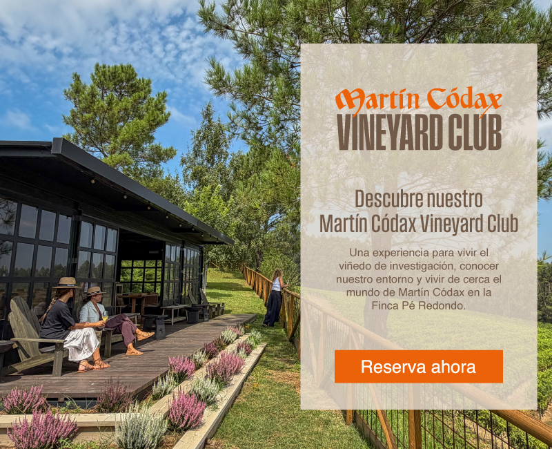 Martín Códax Vineyard Club